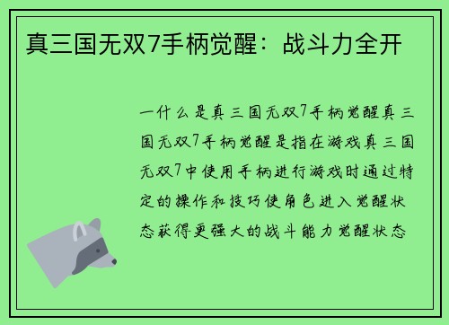 真三国无双7手柄觉醒:战斗力全开